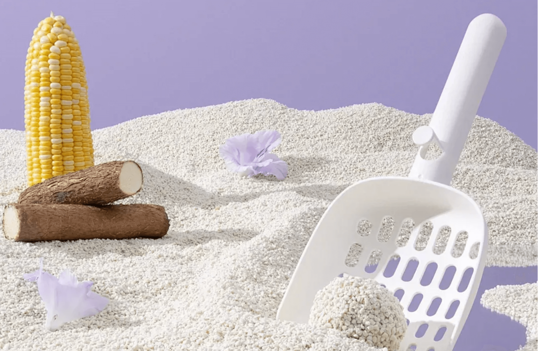 How to Choose the Right One Based on Your Cat’s Needs and Your Lifestyle