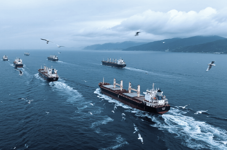 E-commerce sellers/traders