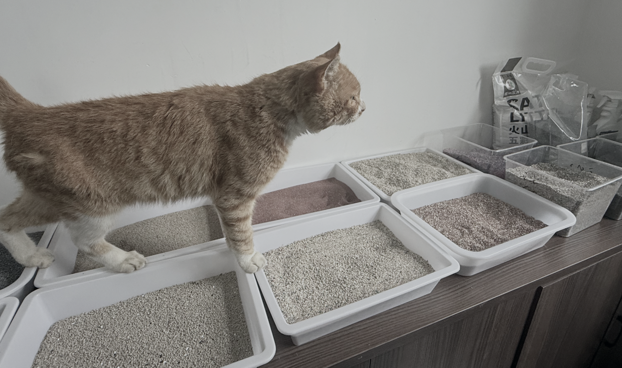 Rigorous Standards and Verified Trust