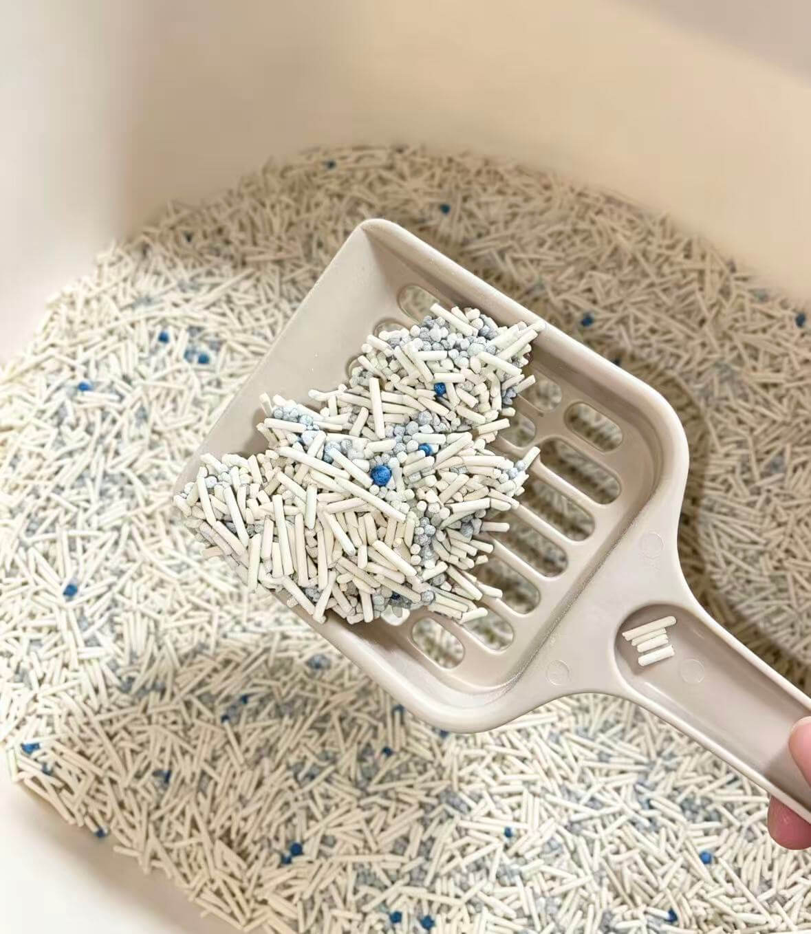 Bulk Cat Litter Manufacturer: Capacity, QC System, and Private Label Packaging
