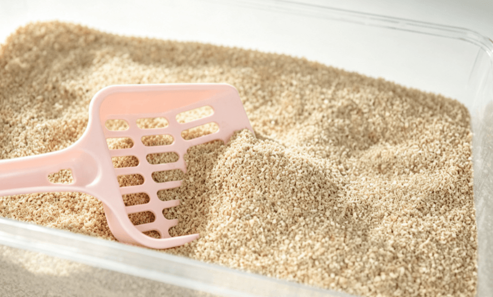 Bentonite Cat Litter Supplier for Importers: Bulk Pricing, Samples & Shipping Support