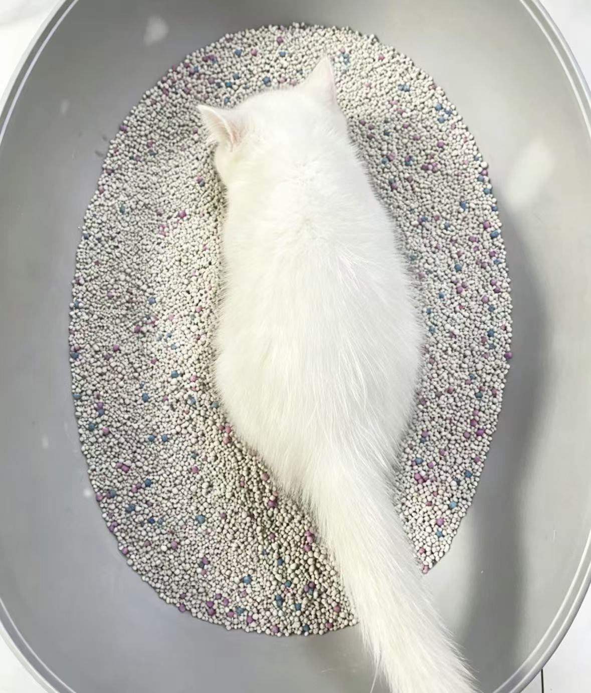 Cat Litter Bulk Export: Pricing Tiers, Lead Times & Required Documents