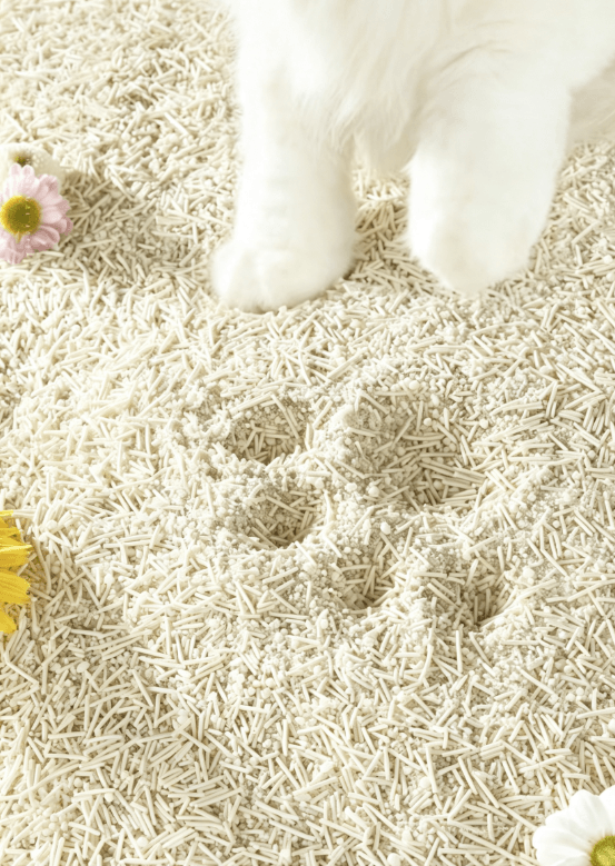 Cat Litter ODM Manufacturer : R&D, Pilot Runs & Private Label Production