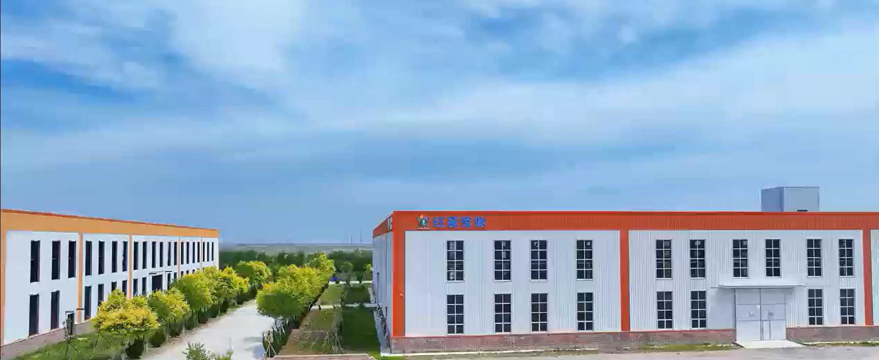 Cat Litter Export from China: Bulk Pricing, Lead Times & Required Documents