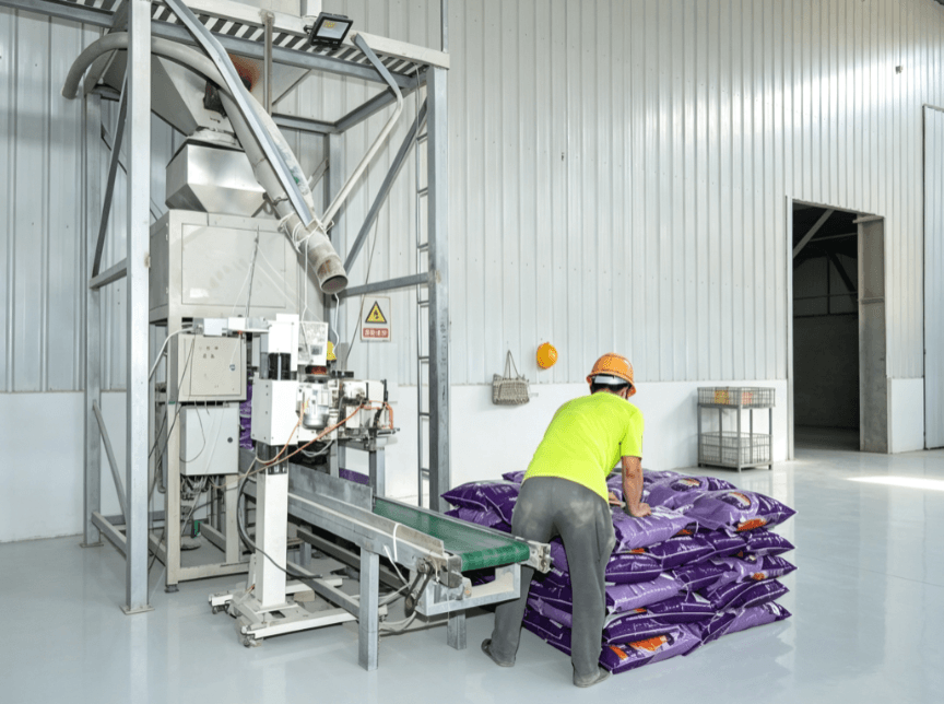 Bentonite Cat Litter China Manufacturer: Specification Guide for B2B Buyers