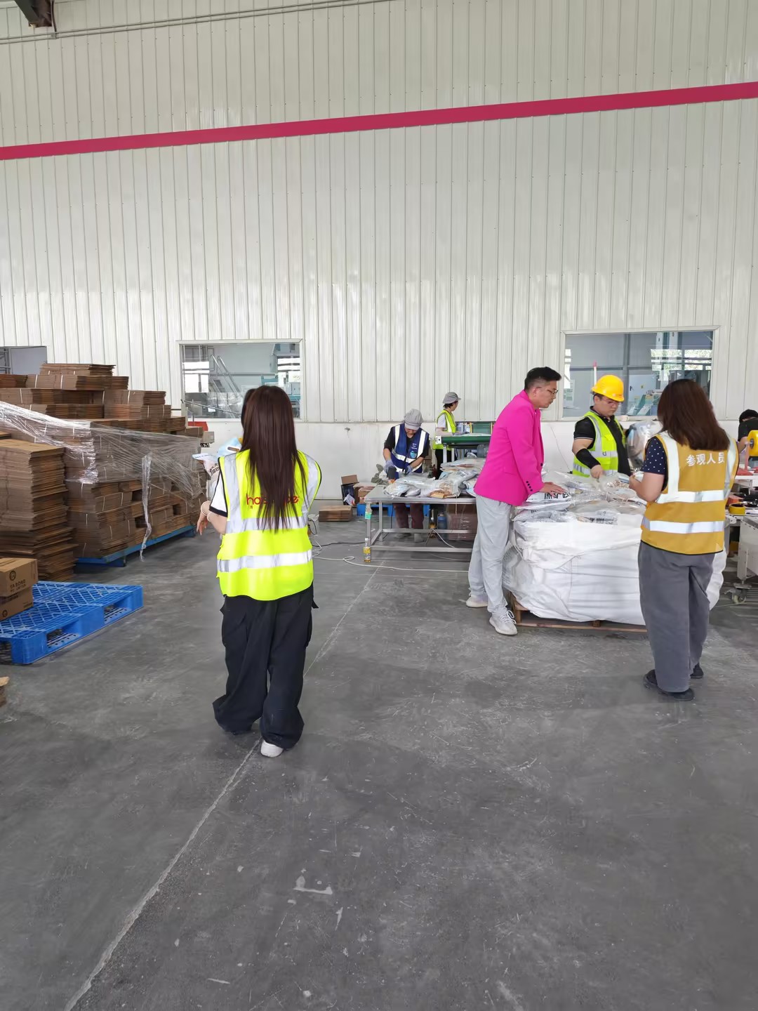Bentonite Cat Litter China Manufacturer: Specification Guide for B2B Buyers