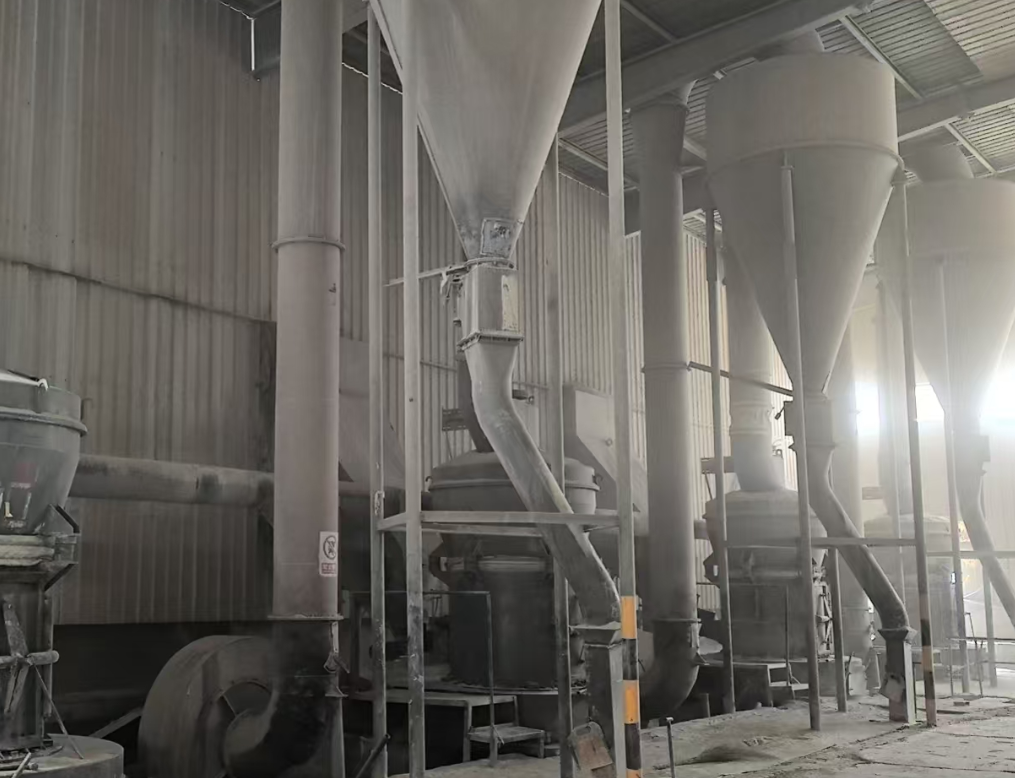 OEM Cat Litter: Ensuring Quality, Compliance, and Long-Term Supply