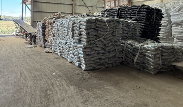 Clumping Cat Litter Bulk Supply: Matching Product to Market Demand