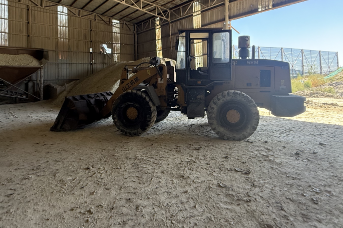 Cat Litter OEM: Building a Strong Private-Label Brand from Scratch