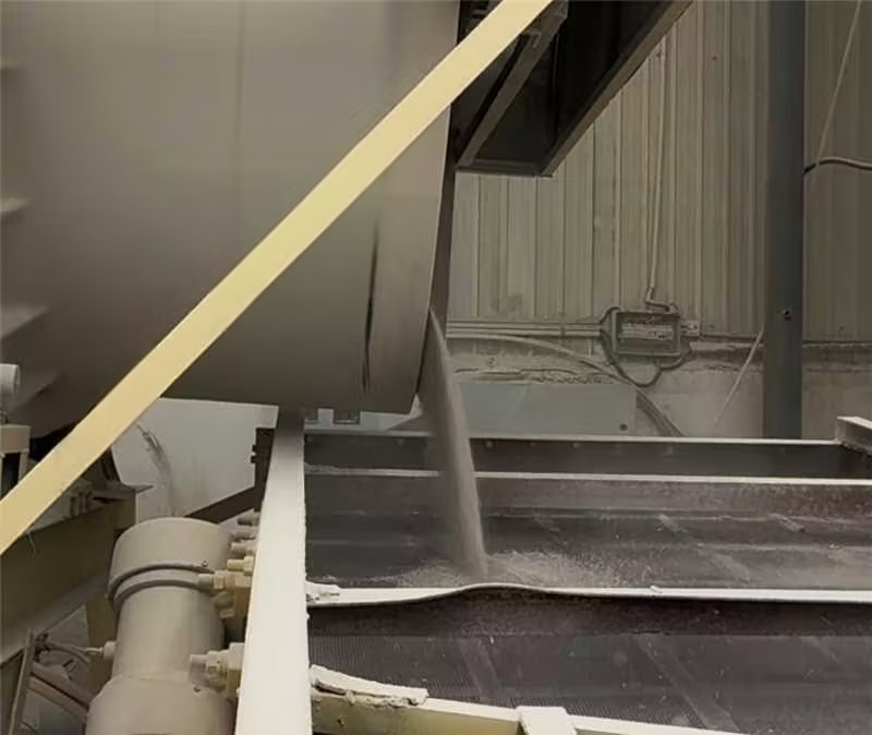 Bulk Buy Cat Litter: Cut Costs, Not Quality