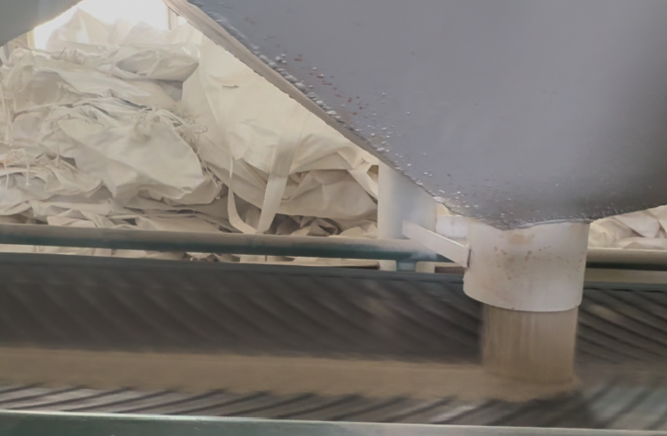 Cat Litter Bulk Orders: Maximizing Value and Efficiency