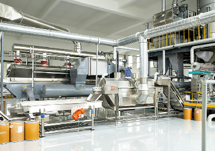 Factory Tour: How Our Cat Litter Comes to Life