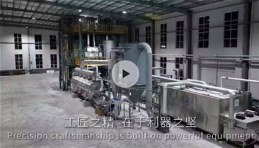 Precision Craftsmanship Is Built on Powerful Equipment: Inside Modern Cat Litter Factory
